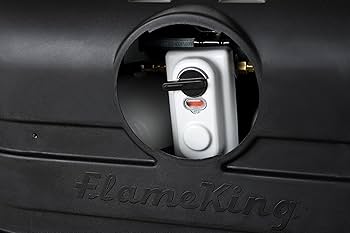 Amazon.com: Flame King 30 Pound Steel Propane Tank Cylinder